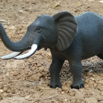 טיפול הוליסטי – מה זה באמת אומר? על "משל הפיל" ויתרונותיו של טיפול הומאופתי