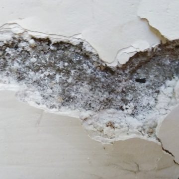 טיפול בשורש הבעיה = הומאופתיה !