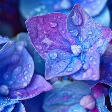 טיפול בהרפס גניטלי: גם טיפול וגם מניעה באותו תהליך ממש – רק הומאופתיה!