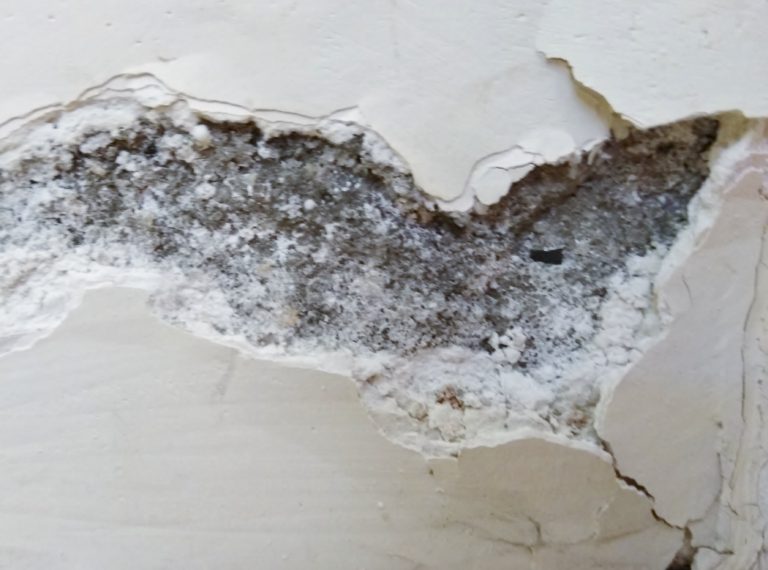 הומאופתיה, טיפול הומאופתי, טיפול בשורש הבעיה